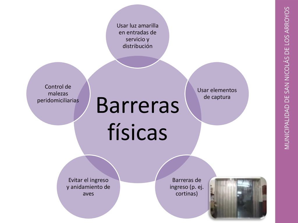 Barreras físicas Usar luz amarilla en entradas de servicio y distribución. Usar elementos de captura.