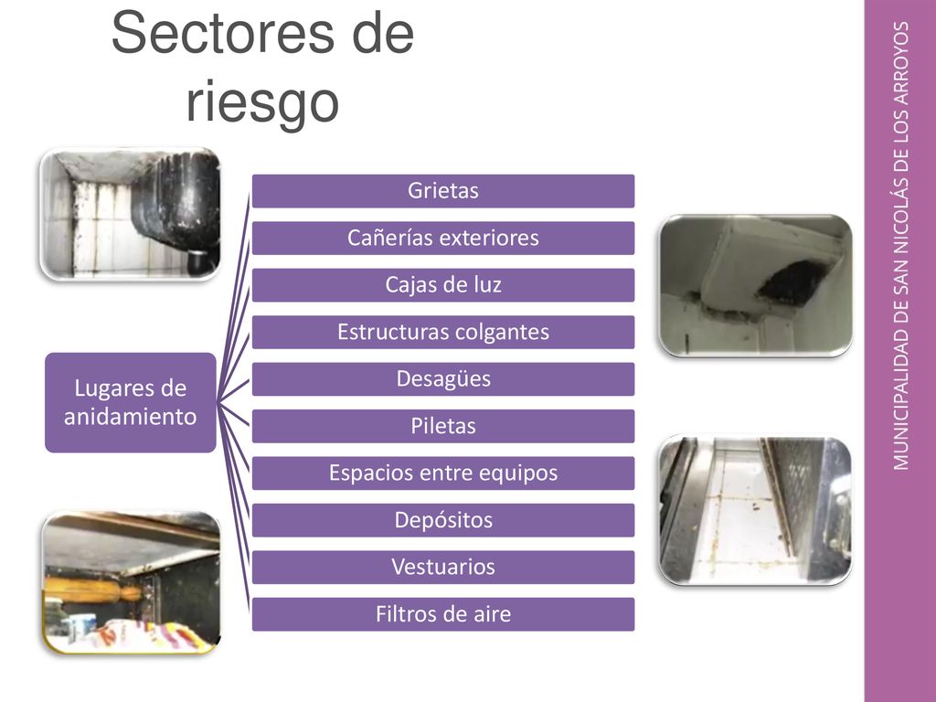 Sectores de riesgo Lugares de anidamiento Grietas Cañerías exteriores