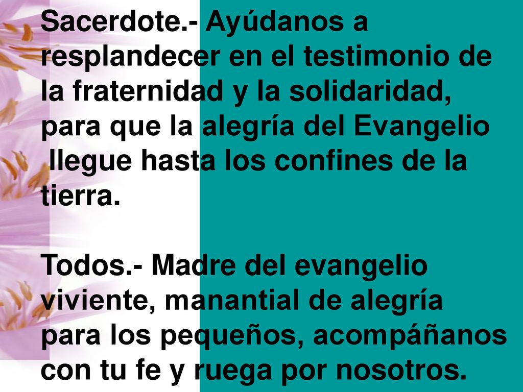 Sacerdote.- Ayúdanos a resplandecer en el testimonio de. la fraternidad y la solidaridad, para que la alegría del Evangelio.