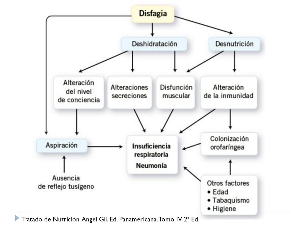 Tratado de Nutrición. Angel Gil. Ed. Panamericana. Tomo IV, 2ª Ed.