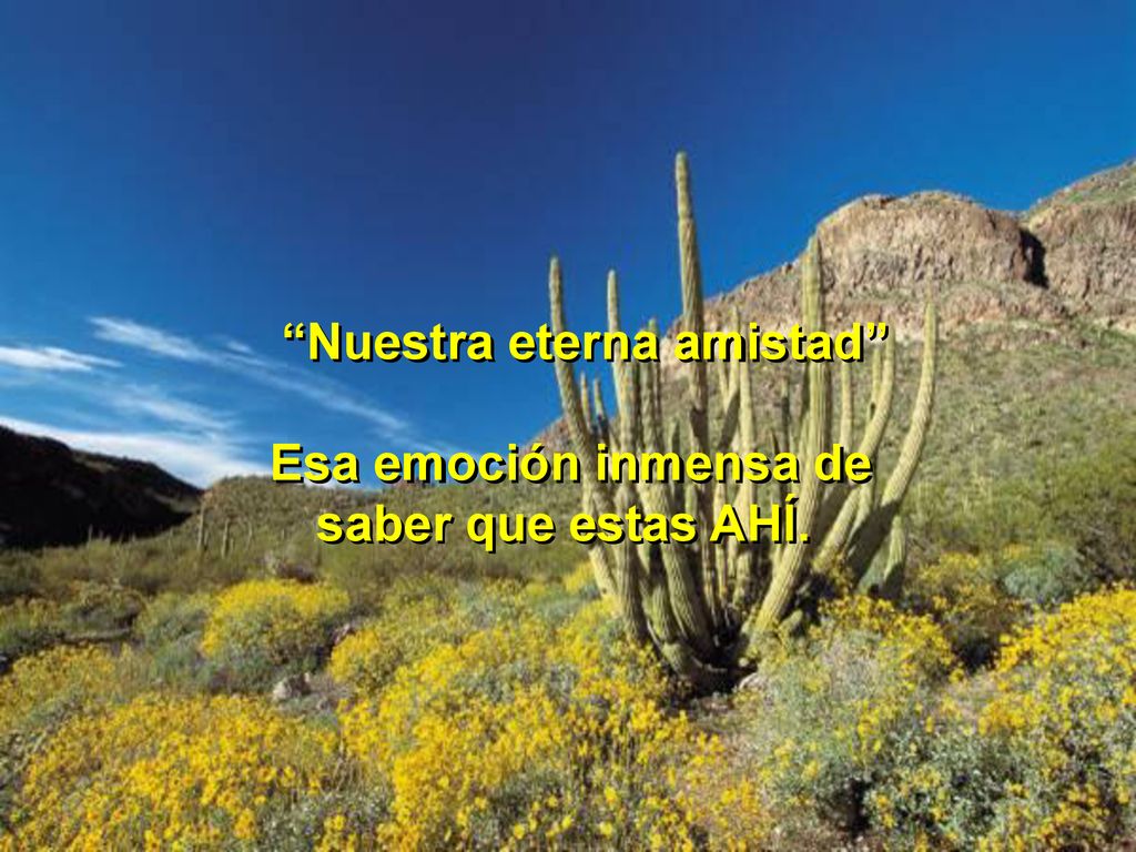 Nuestra eterna amistad Esa emoción inmensa de saber que estas AHÍ.