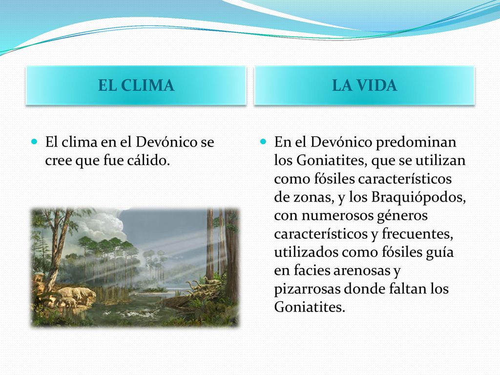 EL CLIMA LA VIDA El clima en el Devónico se cree que fue cálido.