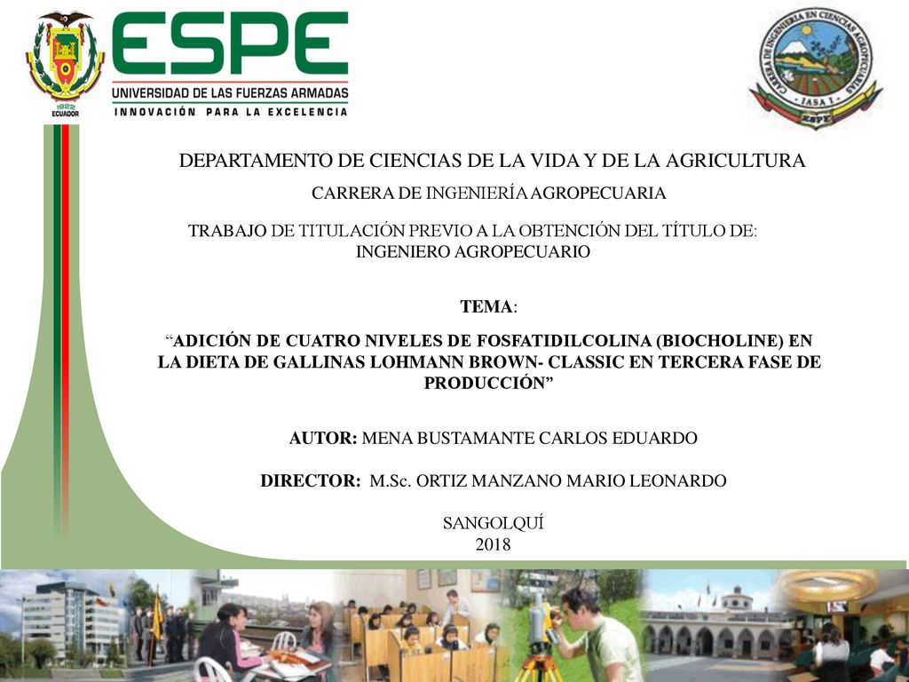 DEPARTAMENTO DE CIENCIAS DE LA VIDA Y DE LA AGRICULTURA