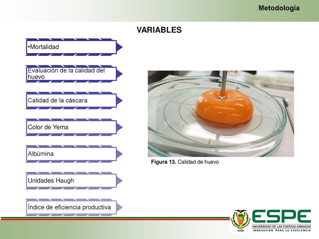 VARIABLES Metodología Mortalidad Evaluación de la calidad del huevo