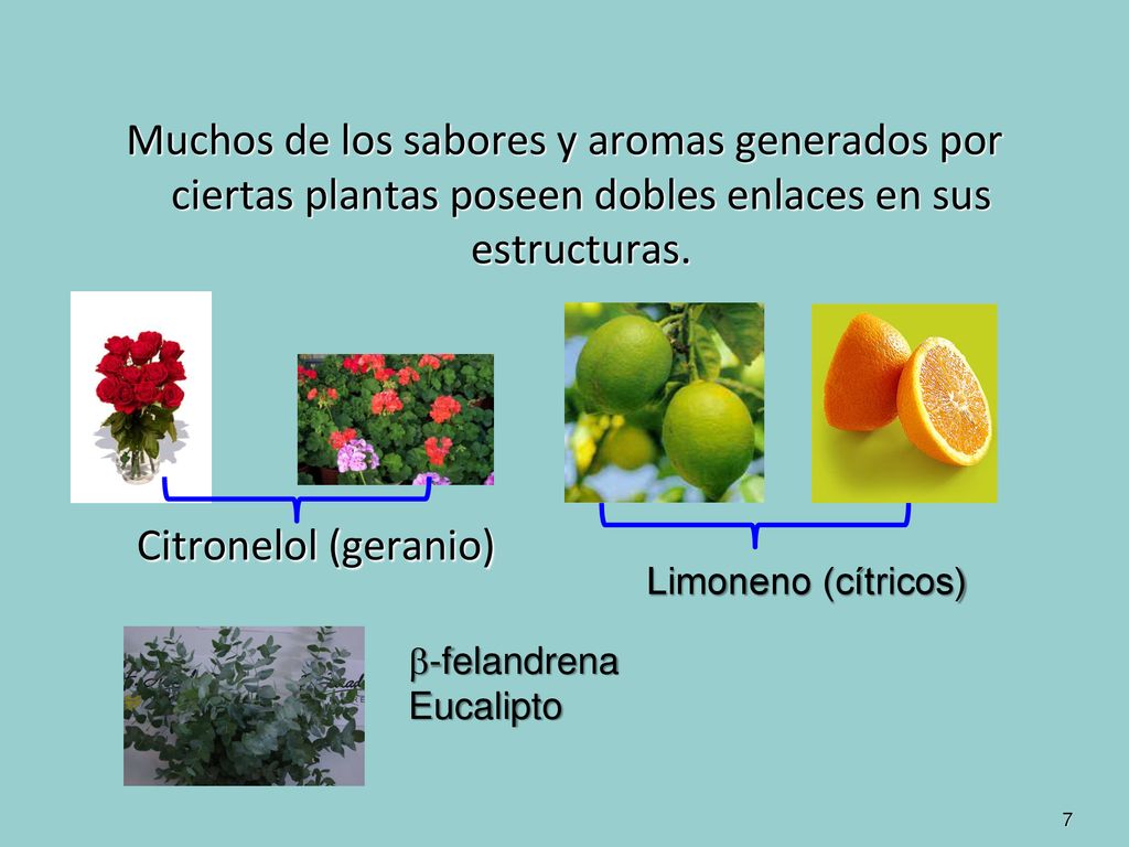 Muchos de los sabores y aromas generados por ciertas plantas poseen dobles enlaces en sus estructuras.