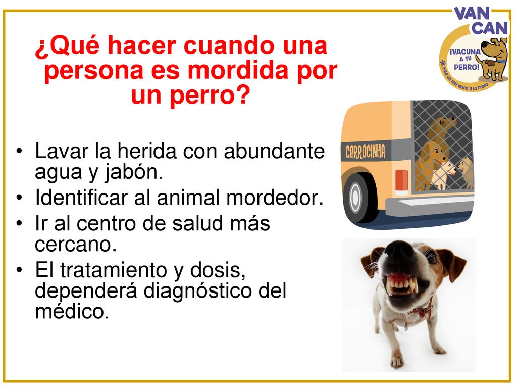 ¿Qué hacer cuando una persona es mordida por un perro