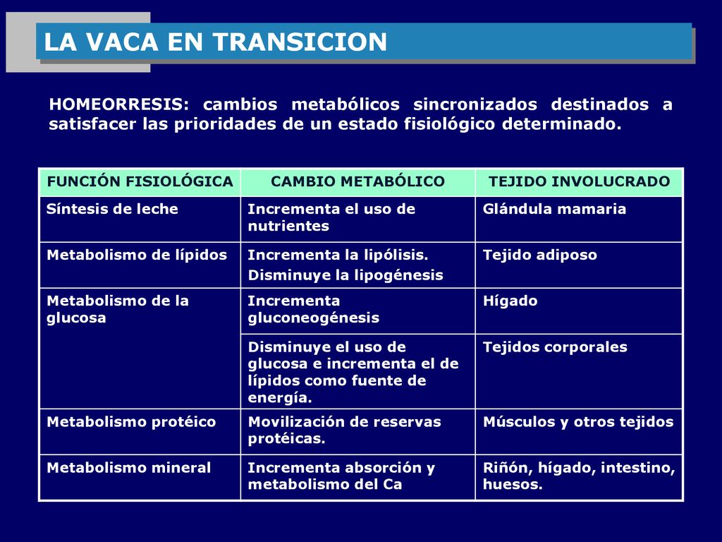 LA VACA EN TRANSICION HOMEORRESIS: cambios metabólicos sincronizados destinados a satisfacer las prioridades de un estado fisiológico determinado.