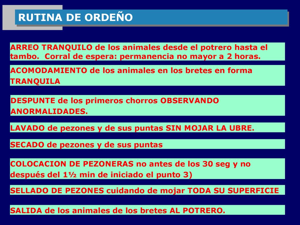 RUTINA DE ORDEÑO ARREO TRANQUILO de los animales desde el potrero hasta el tambo. Corral de espera: permanencia no mayor a 2 horas.