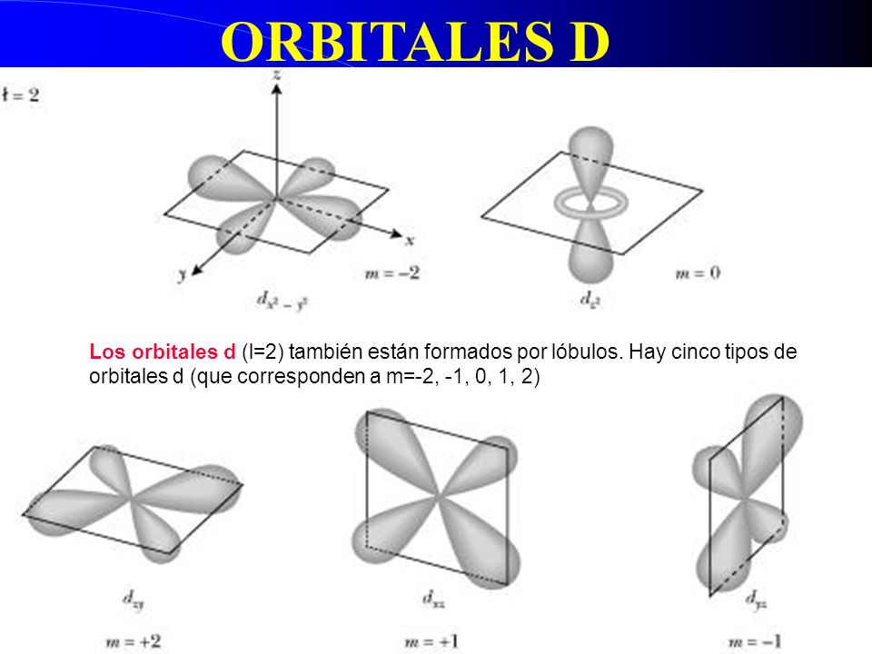 ORBITALES D Los orbitales d (l=2) también están formados por lóbulos.