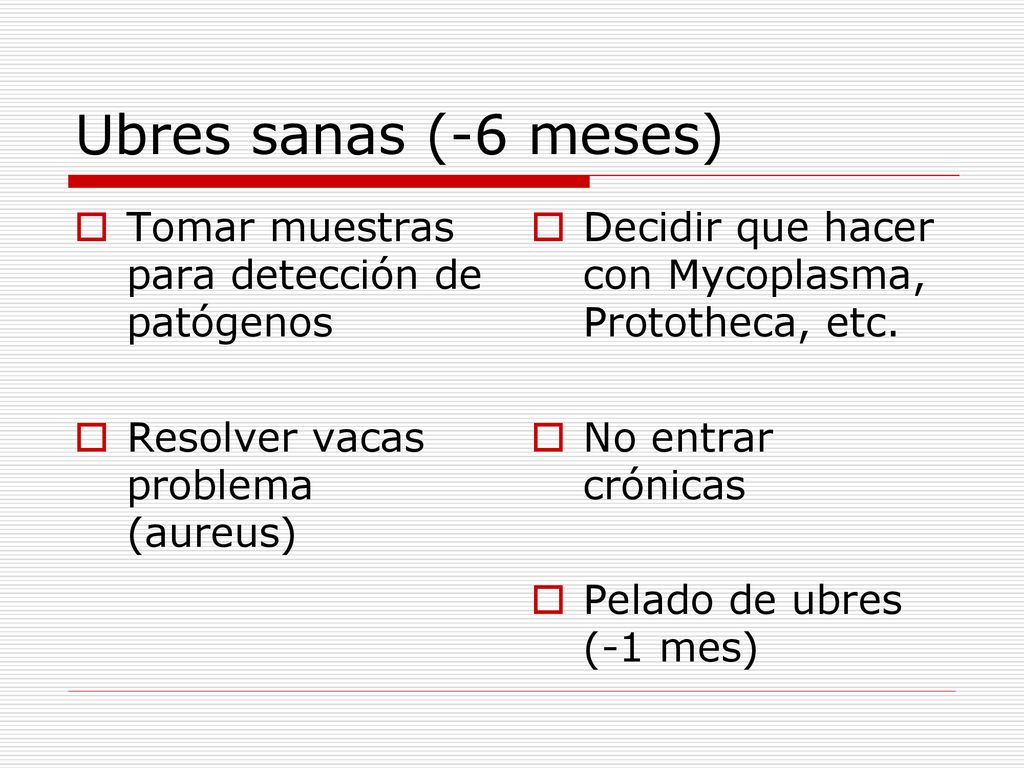 Ubres sanas (-6 meses) Tomar muestras para detección de patógenos