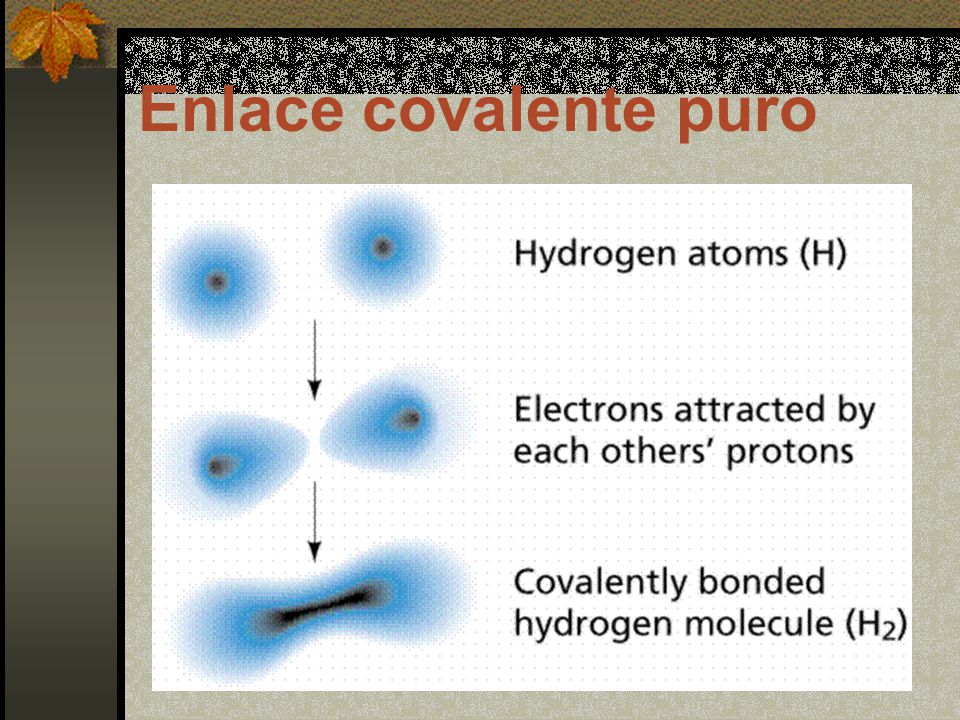 Enlace covalente puro
