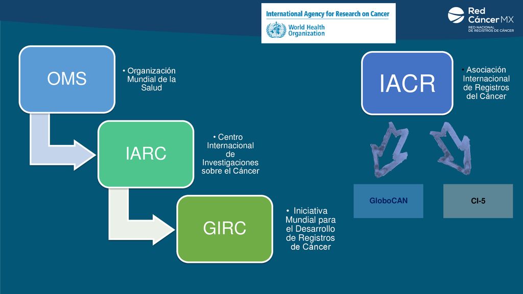 OMS Organización Mundial de la Salud. IARC. Centro Internacional de Investigaciones sobre el Cáncer.