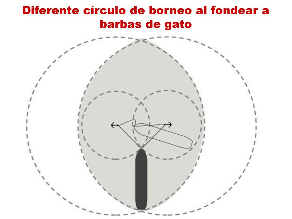 Diferente círculo de borneo al fondear a barbas de gato