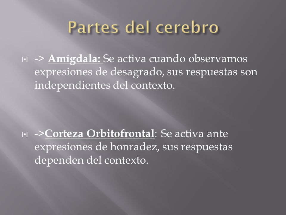 Partes del cerebro -> Amígdala: Se activa cuando observamos expresiones de desagrado, sus respuestas son independientes del contexto.