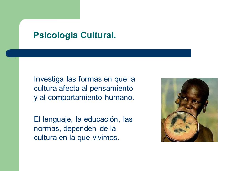 Psicología Cultural. Investiga las formas en que la cultura afecta al pensamiento y al comportamiento humano.