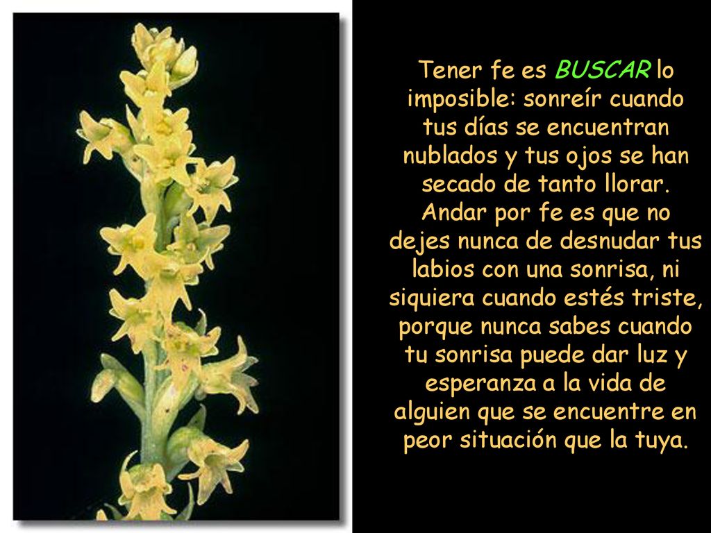 Tener fe es BUSCAR lo imposible: sonreír cuando tus días se encuentran nublados y tus ojos se han secado de tanto llorar.