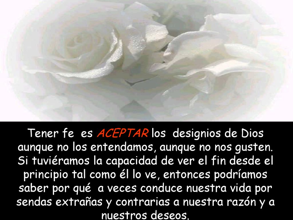 Tener fe es ACEPTAR los designios de Dios aunque no los entendamos, aunque no nos gusten.