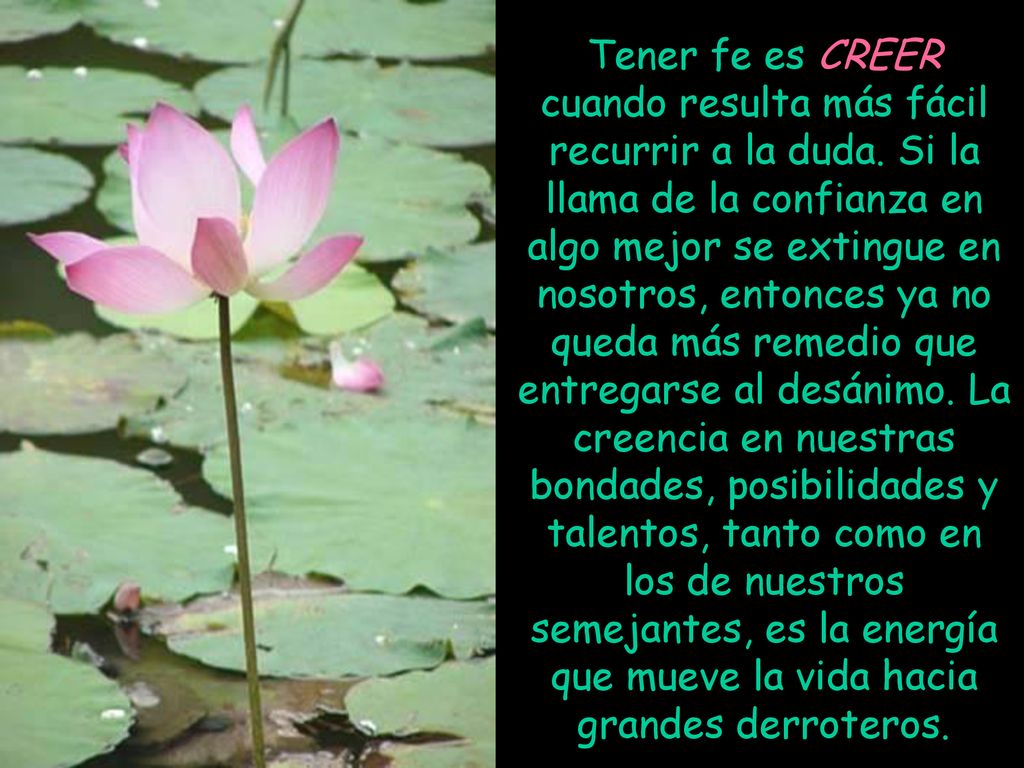 Tener fe es CREER cuando resulta más fácil recurrir a la duda