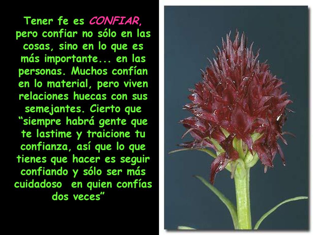 Tener fe es CONFIAR, pero confiar no sólo en las cosas, sino en lo que es más importante...