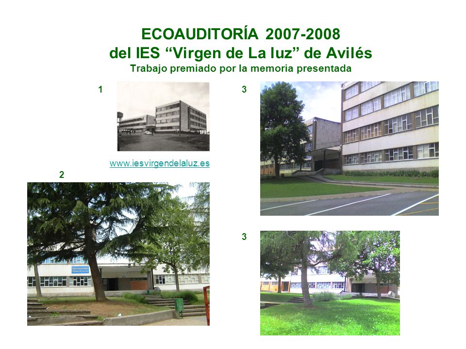 ECOAUDITORÍA del IES Virgen de La luz de Avilés Trabajo premiado por la memoria presentada