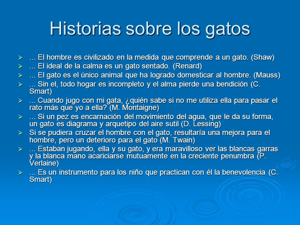 Historias sobre los gatos