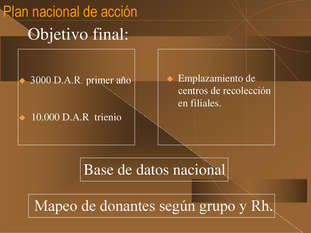 Objetivo final: Plan nacional de acción Base de datos nacional