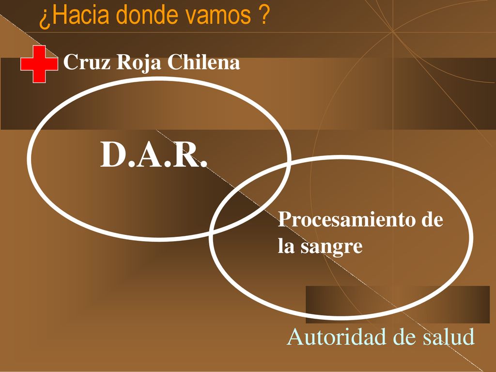 D.A.R. ¿Hacia donde vamos Autoridad de salud Cruz Roja Chilena