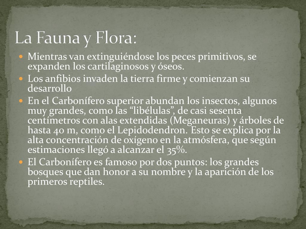 La Fauna y Flora: Mientras van extinguiéndose los peces primitivos, se expanden los cartilaginosos y óseos.
