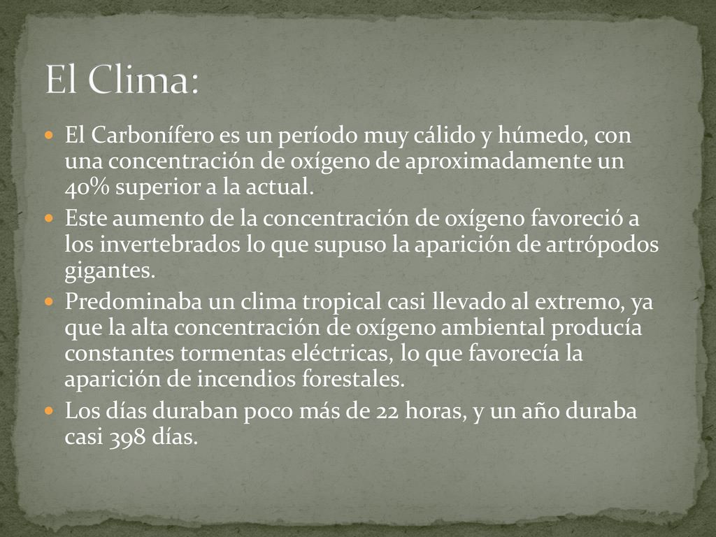 El Clima: El Carbonífero es un período muy cálido y húmedo, con una concentración de oxígeno de aproximadamente un 40% superior a la actual.