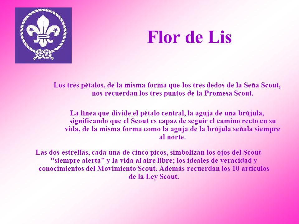 Flor de Lis Los tres pétalos, de la misma forma que los tres dedos de la Seña Scout, nos recuerdan los tres puntos de la Promesa Scout.