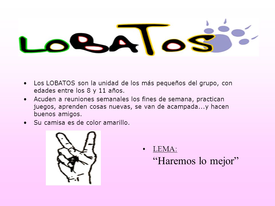 LEMA: Haremos lo mejor