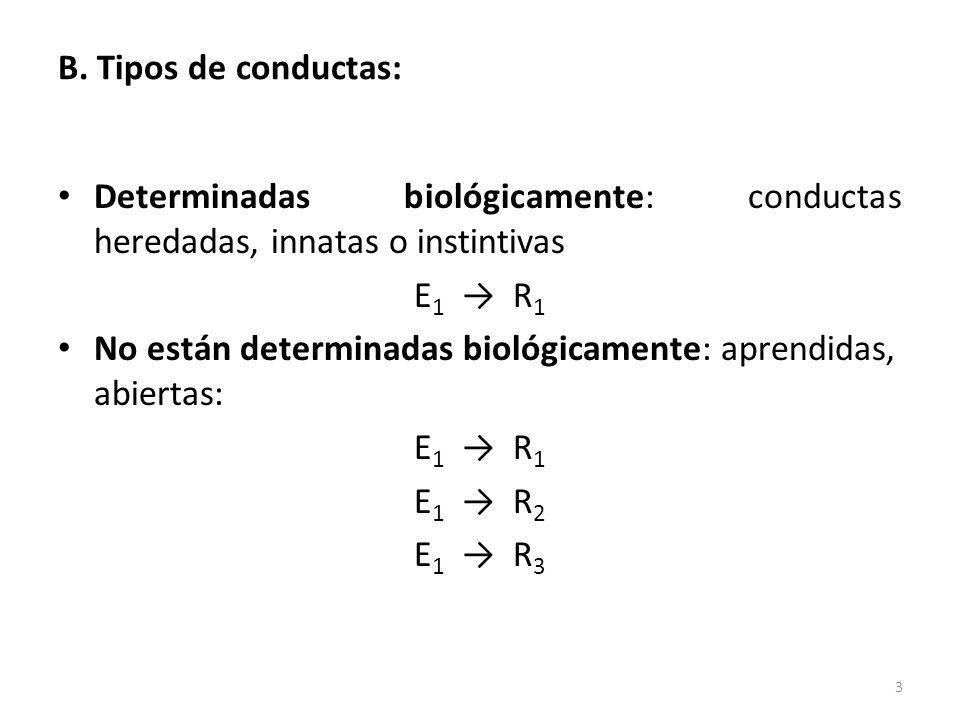 B. Tipos de conductas: Determinadas biológicamente: conductas heredadas, innatas o instintivas. E1 → R1.