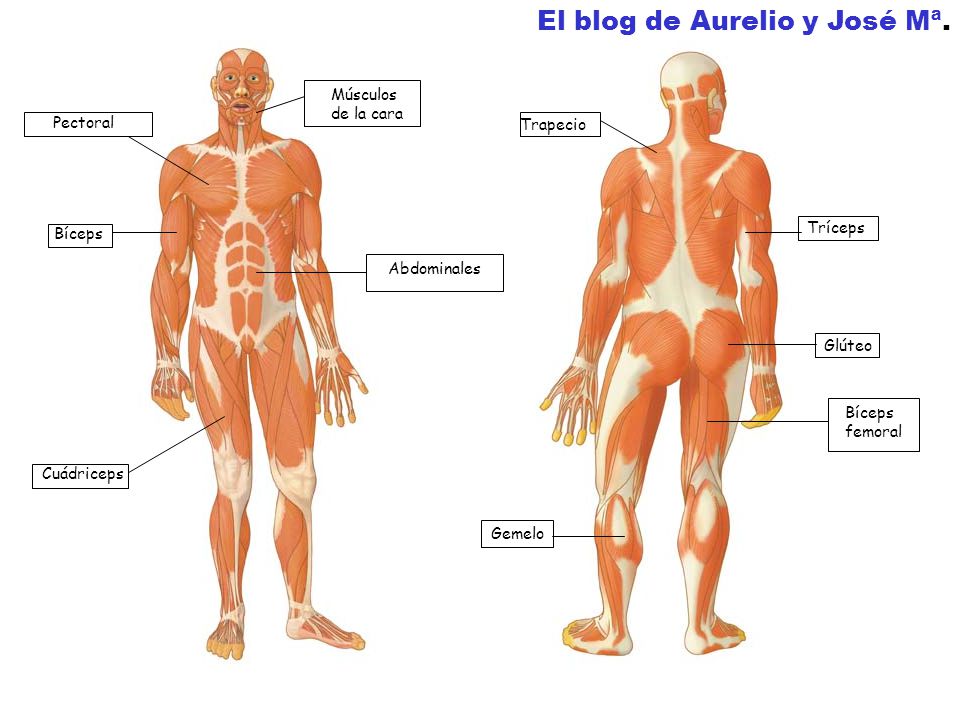 El blog de Aurelio y José Mª.