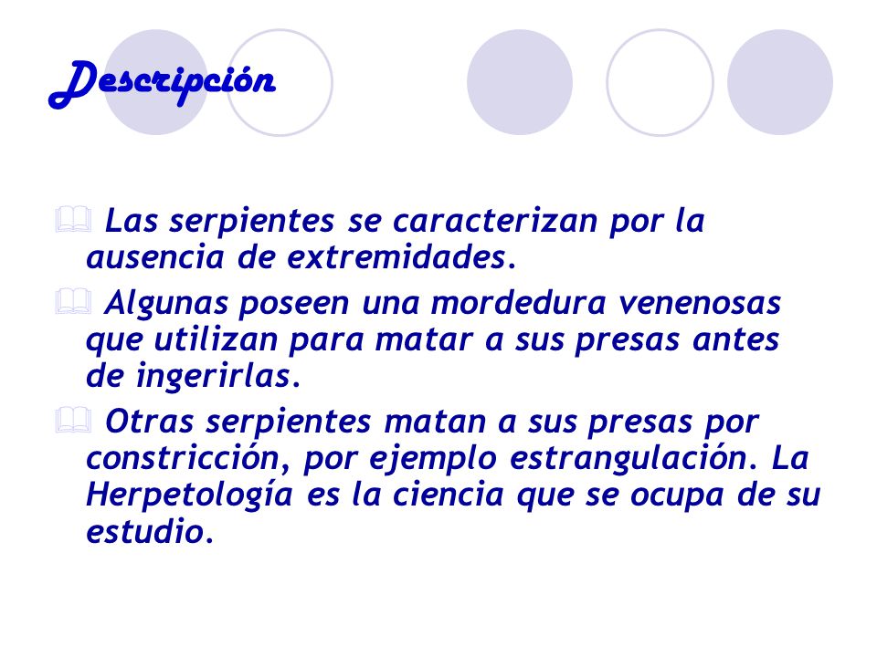 Descripción Las serpientes se caracterizan por la ausencia de extremidades.