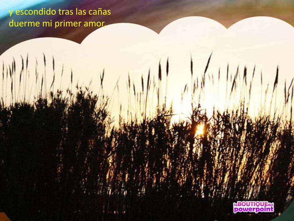 y escondido tras las cañas duerme mi primer amor,