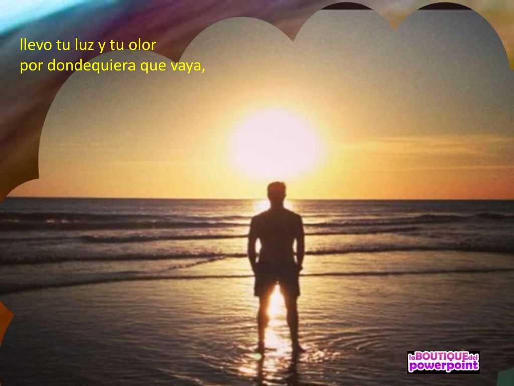 llevo tu luz y tu olor por dondequiera que vaya,