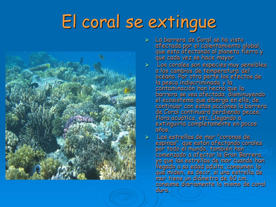 El coral se extingue