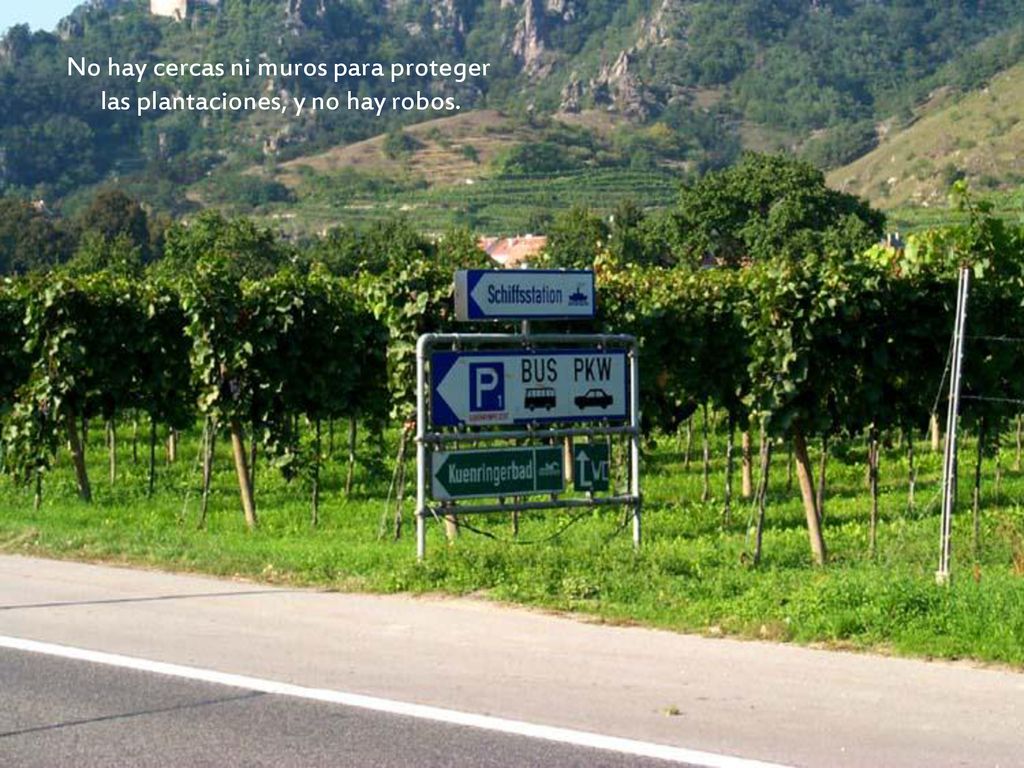 No hay cercas ni muros para proteger las plantaciones, y no hay robos.