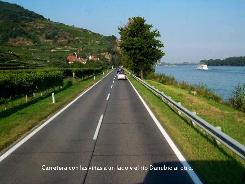 Carretera con las viñas a un lado y el río Danubio al otro.