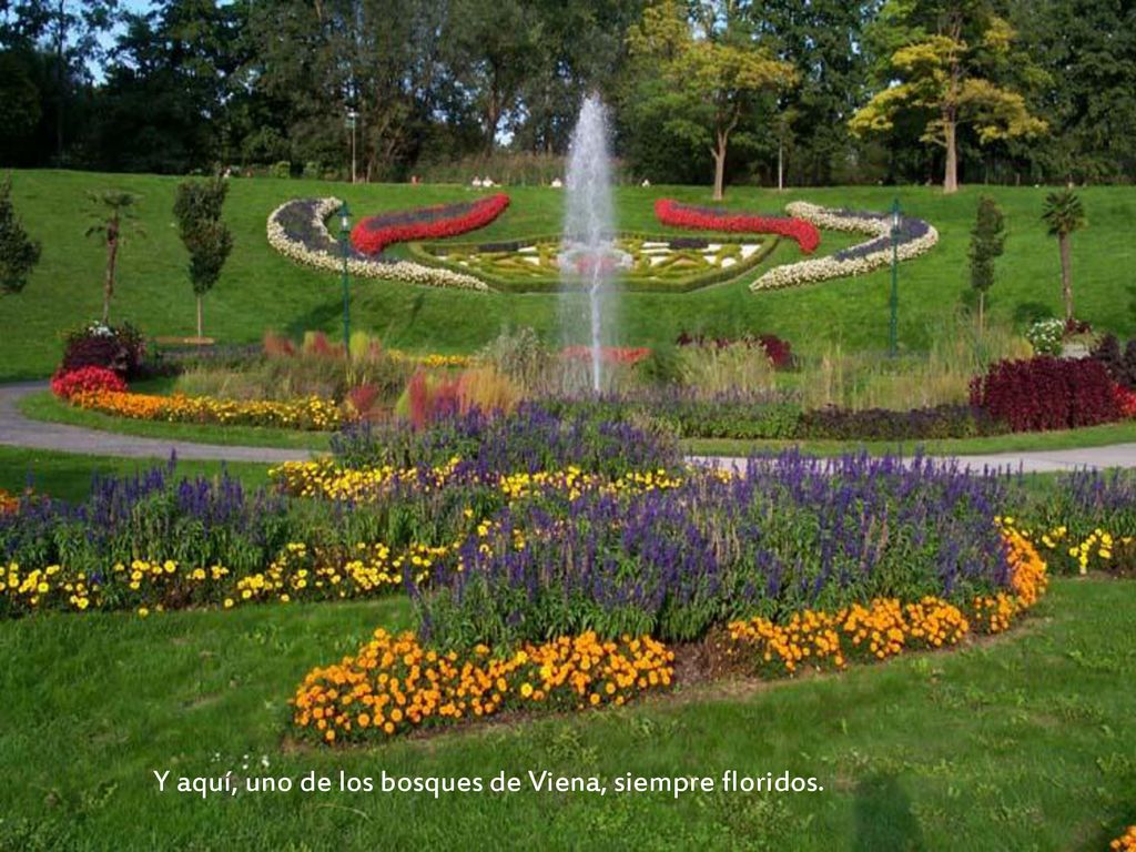 Y aquí, uno de los bosques de Viena, siempre floridos.