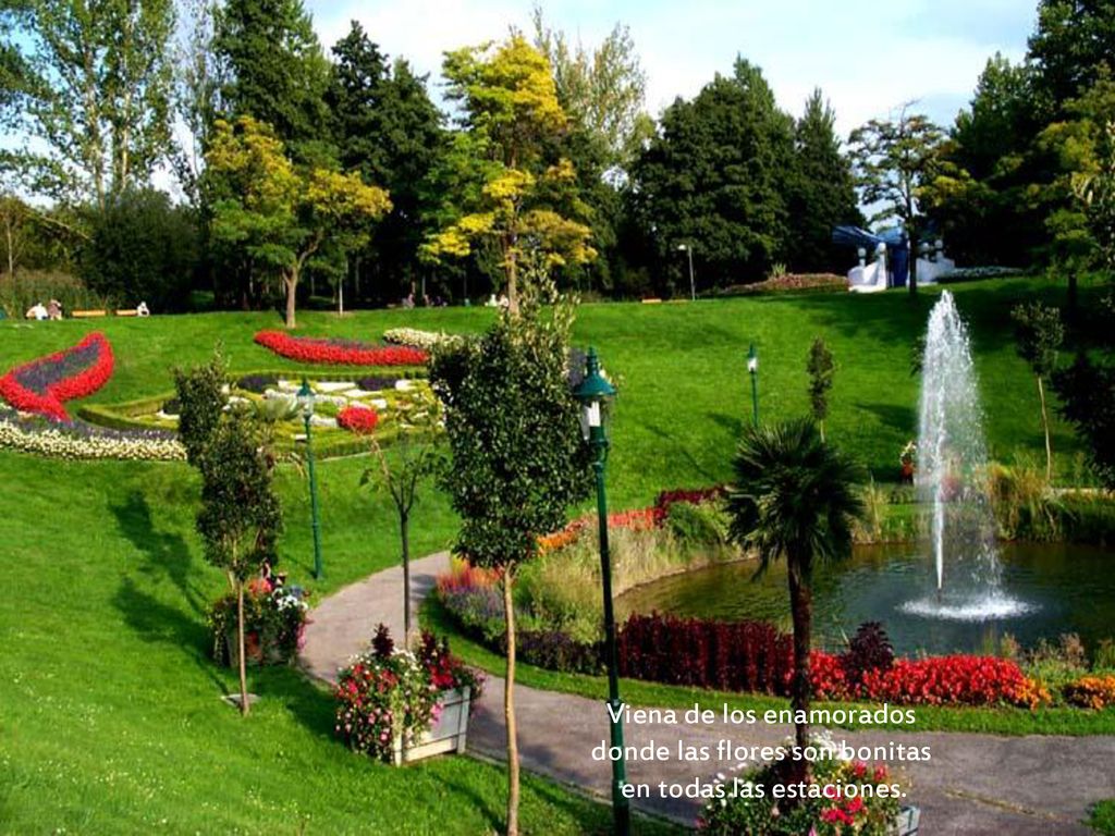 Viena de los enamorados donde las flores son bonitas
