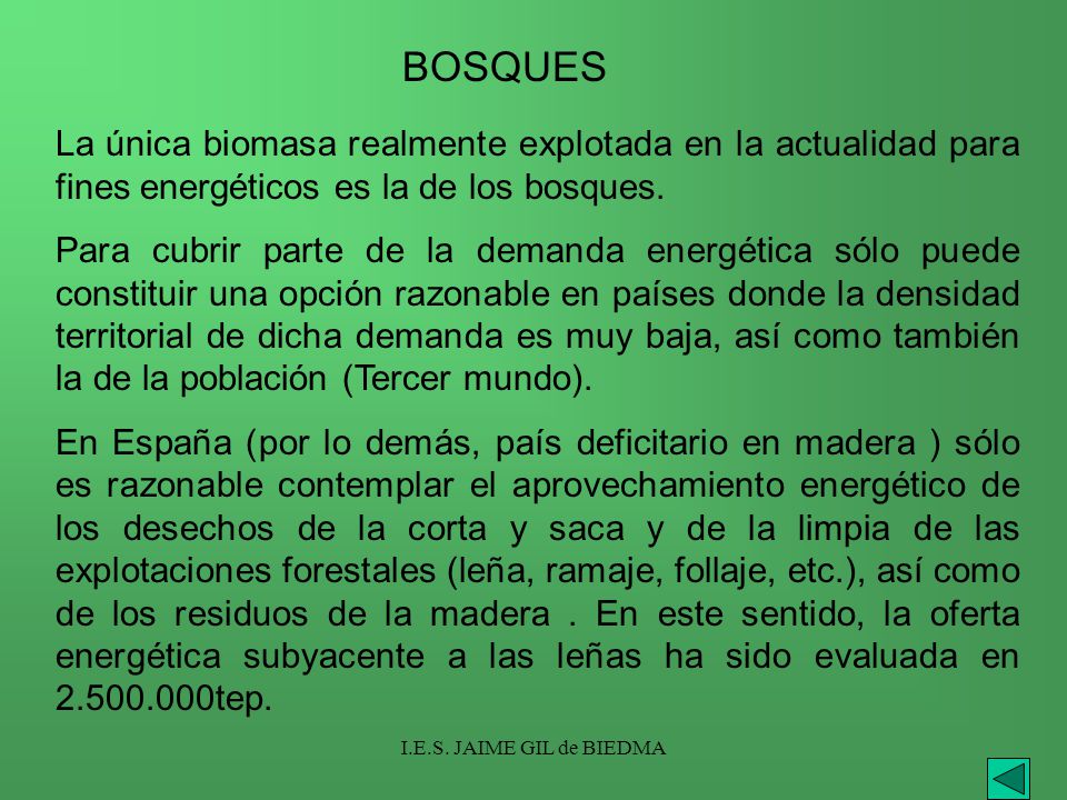 BOSQUES La única biomasa realmente explotada en la actualidad para fines energéticos es la de los bosques.