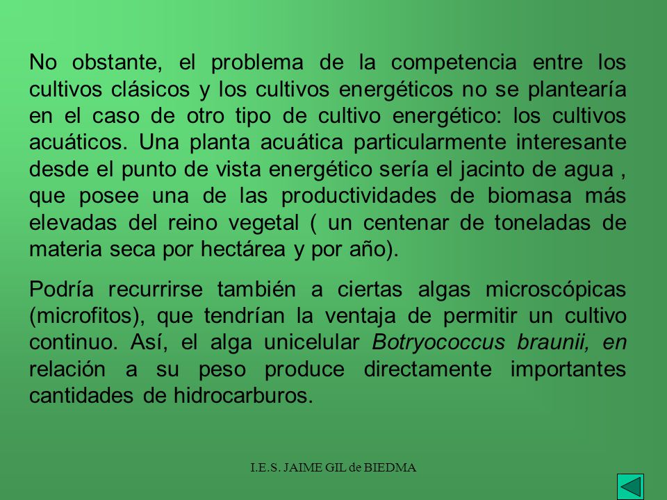 No obstante, el problema de la competencia entre los cultivos clásicos y los cultivos energéticos no se plantearía en el caso de otro tipo de cultivo energético: los cultivos acuáticos. Una planta acuática particularmente interesante desde el punto de vista energético sería el jacinto de agua , que posee una de las productividades de biomasa más elevadas del reino vegetal ( un centenar de toneladas de materia seca por hectárea y por año).