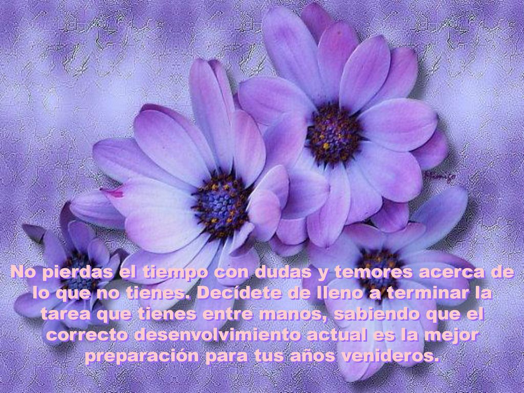 No pierdas el tiempo con dudas y temores acerca de lo que no tienes
