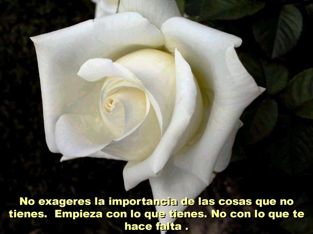 No exageres la importancia de las cosas que no tienes