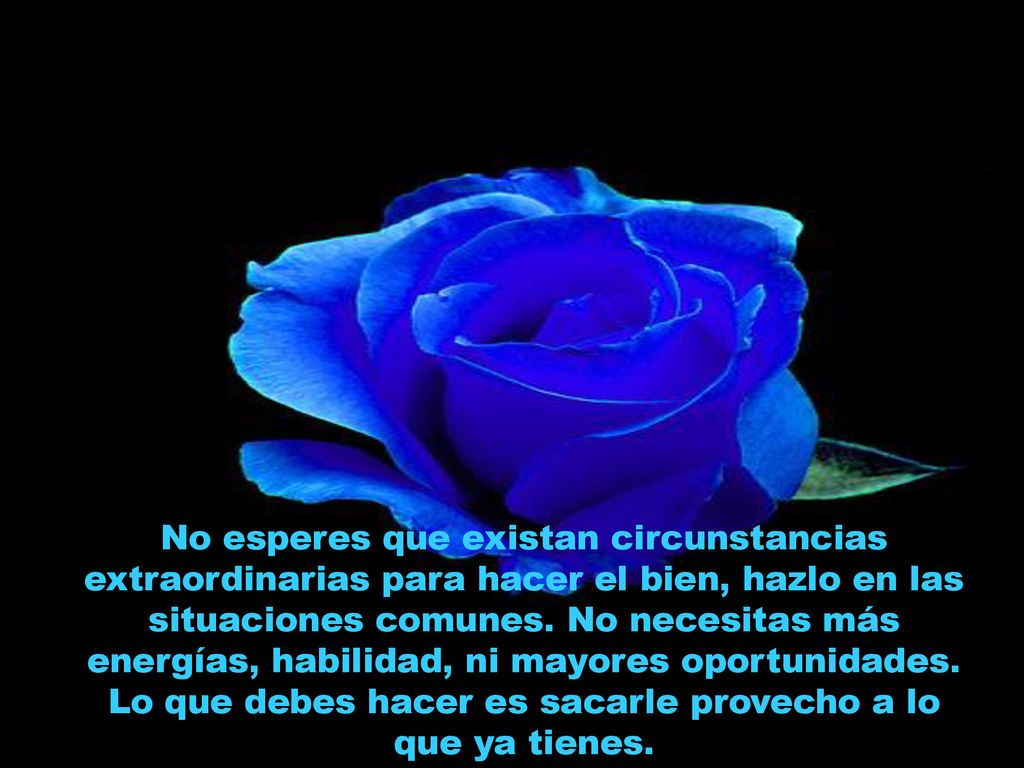 No esperes que existan circunstancias extraordinarias para hacer el bien, hazlo en las situaciones comunes.