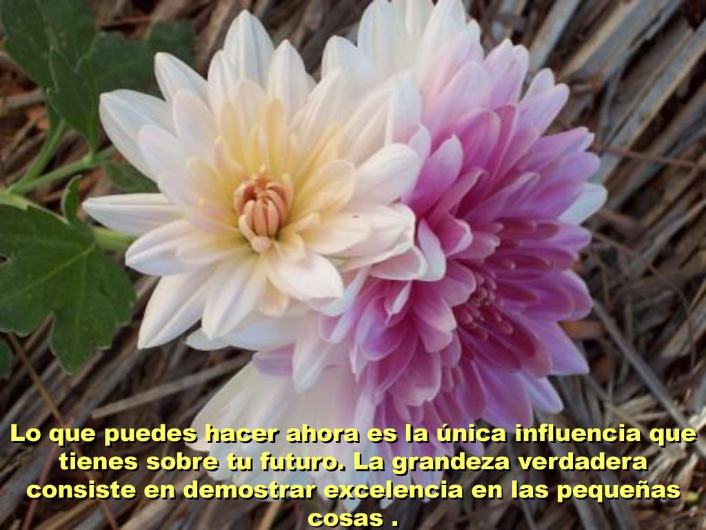 Lo que puedes hacer ahora es la única influencia que tienes sobre tu futuro.