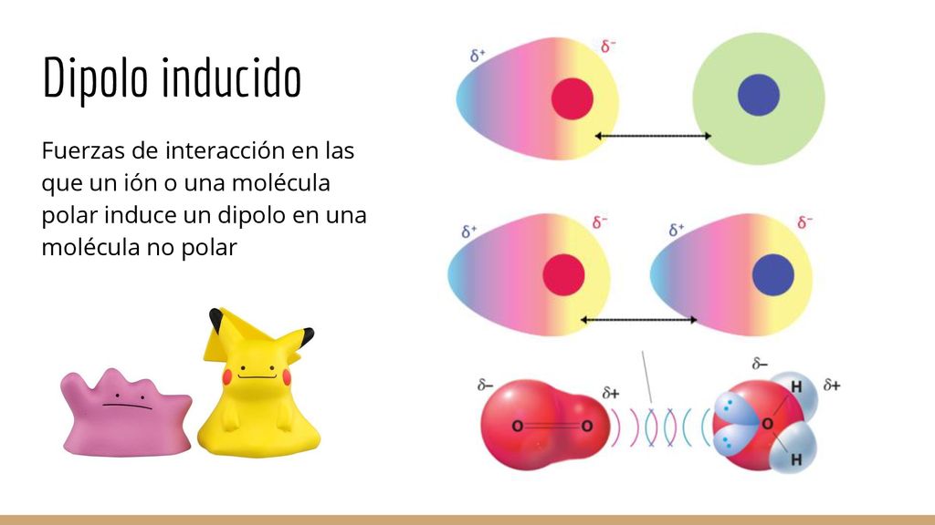 Dipolo inducido Fuerzas de interacción en las que un ión o una molécula polar induce un dipolo en una molécula no polar.