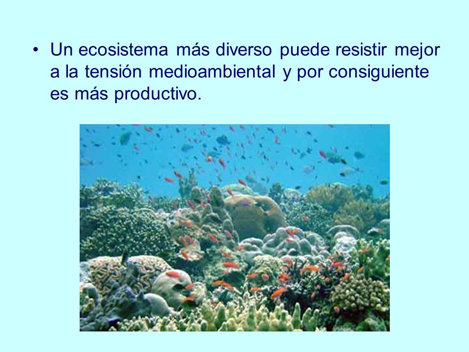 Un ecosistema más diverso puede resistir mejor a la tensión medioambiental y por consiguiente es más productivo.