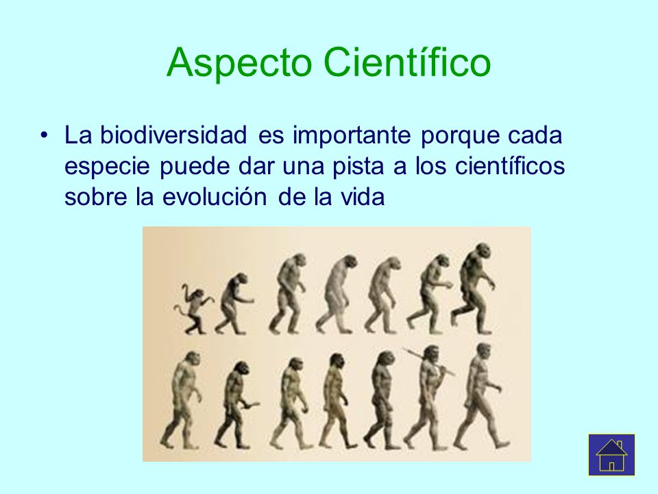 Aspecto Científico La biodiversidad es importante porque cada especie puede dar una pista a los científicos sobre la evolución de la vida.